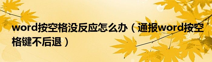 word按空格没反应怎么办(通报word按空格键不后退)