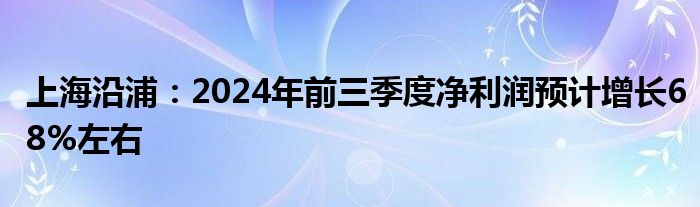 上海沿浦:2024年前三季度净利润预计增长68%左右