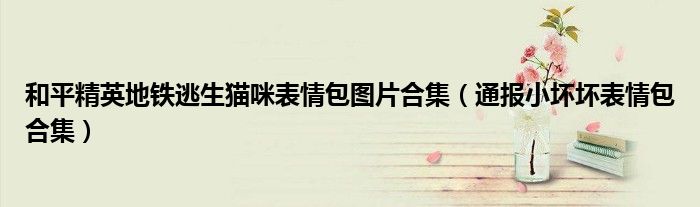 和平精英地铁逃生猫咪表情包图片合集(通报小坏坏表情包合集)