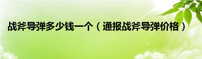 战斧导弹多少钱一个(通报战斧导弹价格)