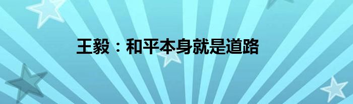 王毅:和平本身就是道路