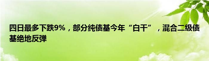 四日最多下跌9%,部分纯债基今年“白干”,混合二级债基绝地反弹