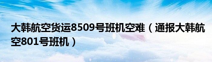 大韩航空货运8509号班机空难(通报大韩航空801号班机)