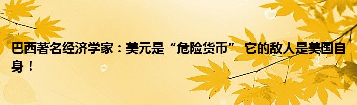 巴西著名经济学家:美元是“危险货币” 它的敌人是美国自身!