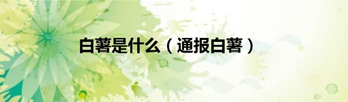 白薯是什么（通报白薯）