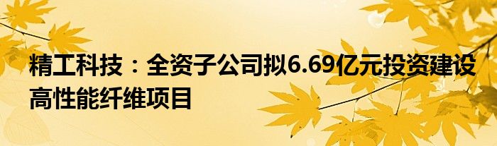 精工科技:全资子公司拟6.69亿元投资建设高性能纤维项目