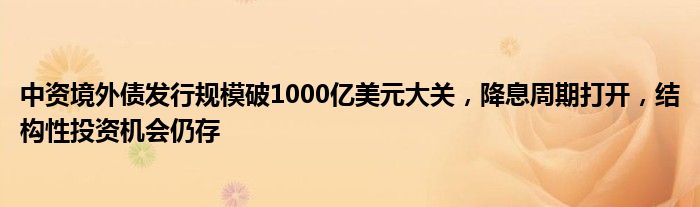 中资境外债发行规模破1000亿美元大关,降息周期打开,结构性投资机会仍存