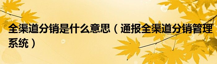 全渠道分销是什么意思(通报全渠道分销管理系统)