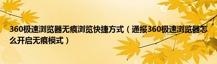 360极速浏览器无痕浏览快捷方式（通报360极速浏览器怎么开启无痕模式）