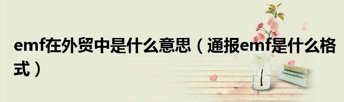 emf在外贸中是什么意思（通报emf是什么格式）