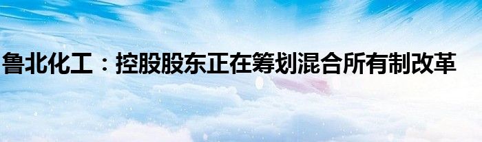 鲁北化工：控股股东正在筹划混合所有制改革