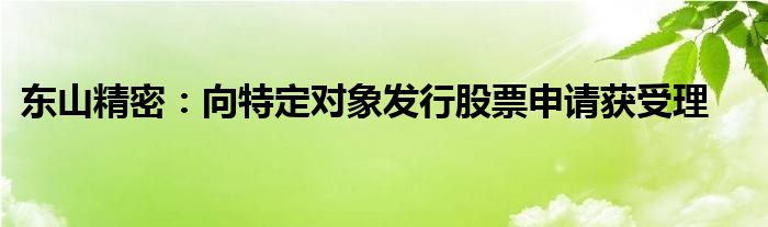 东山精密:向特定对象发行股票申请获受理