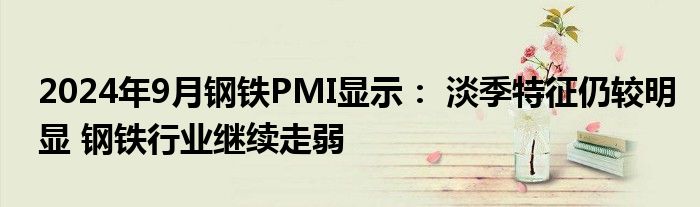 2024年9月钢铁PMI显示: 淡季特征仍较明显 钢铁行业继续走弱