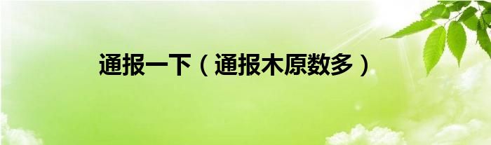 通报一下（通报木原数多）