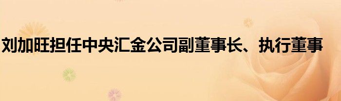 刘加旺担任中央汇金公司副董事长、执行董事