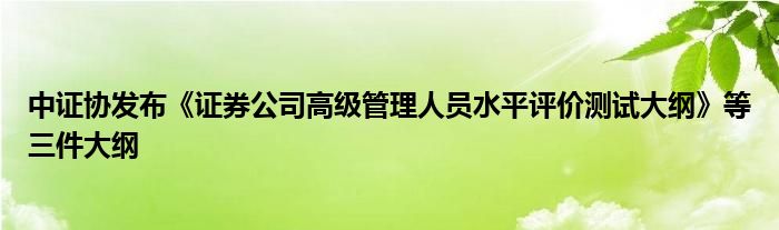中证协发布《证券公司高级管理人员水平评价测试大纲》等三件大纲