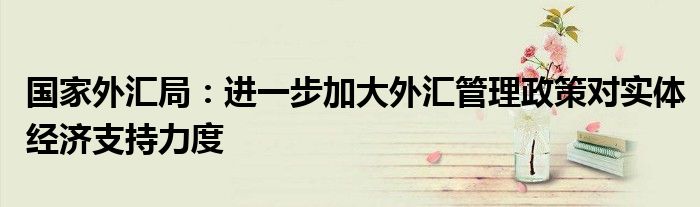 国家外汇局:进一步加大外汇管理政策对实体经济支持力度