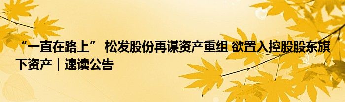 “一直在路上” 松发股份再谋资产重组 欲置入控股股东旗下资产|速读公告
