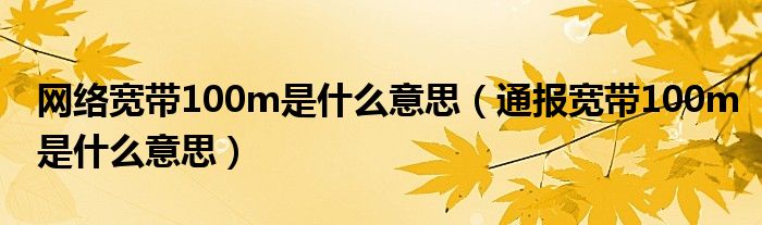 网络宽带100m是什么意思(通报宽带100m是什么意思)