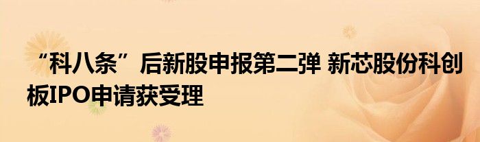 “科八条”后新股申报第二弹 新芯股份科创板IPO申请获受理