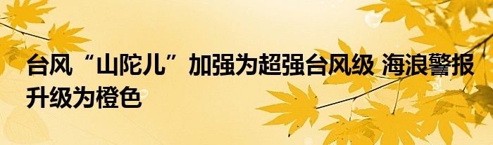 台风“山陀儿”加强为超强台风级 海浪警报升级为橙色