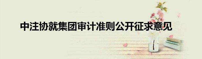 中注协就集团审计准则公开征求意见