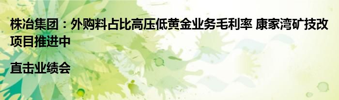 株冶集团:外购料占比高压低黄金业务毛利率 康家湾矿技改项目推进中 |直击业绩会