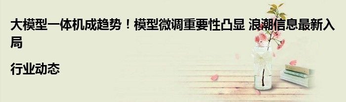 大模型一体机成趋势!模型微调重要性凸显 浪潮信息最新入局|行业动态