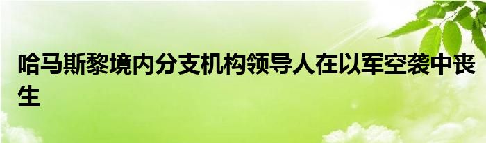 哈马斯黎境内分支机构领导人在以军空袭中丧生