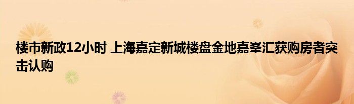 楼市新政12小时 上海嘉定新城楼盘金地嘉峯汇获购房者突击认购