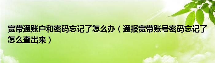 宽带通账户和密码忘记了怎么办(通报宽带账号密码忘记了怎么查出来)