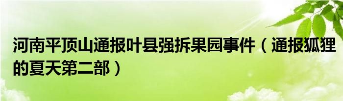 河南平顶山通报叶县强拆果园事件(通报狐狸的夏天第二部)