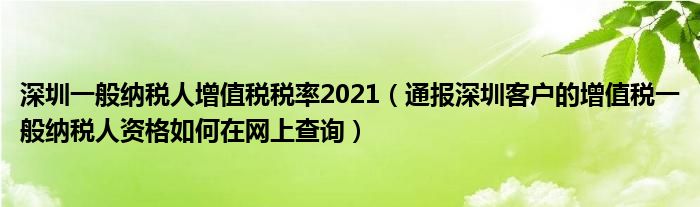 深圳一般纳税人增值税税率2021(通报深圳客户的增值税一般纳税人资格如何在网上查询)