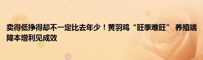 卖得低挣得却不一定比去年少!黄羽鸡“旺季难旺” 养殖端降本增利见成效