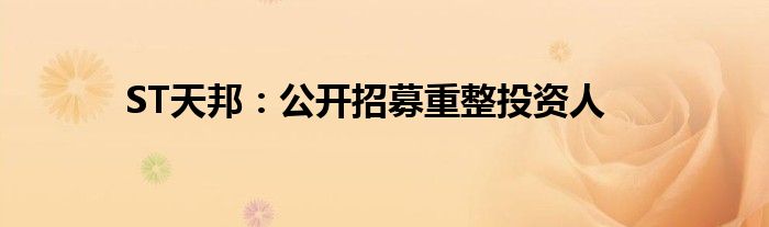 ST天邦:公开招募重整投资人