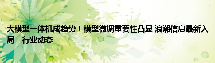 大模型一体机成趋势!模型微调重要性凸显 浪潮信息最新入局|行业动态