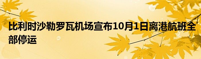 比利时沙勒罗瓦机场宣布10月1日离港航班全部停运