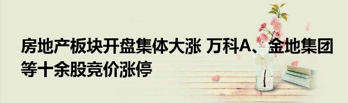 房地产板块开盘集体大涨 万科A、金地集团等十余股竞价涨停