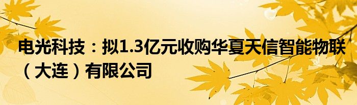 电光科技:拟1.3亿元收购华夏天信智能物联(大连)有限公司