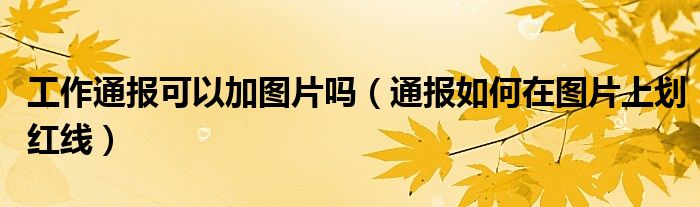 工作通报可以加图片吗(通报如何在图片上划红线)