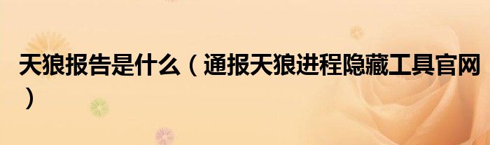 天狼报告是什么(通报天狼进程隐藏工具官网)