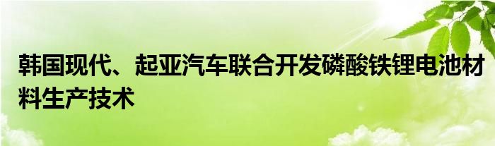 韩国现代、起亚汽车联合开发磷酸铁锂电池材料生产技术