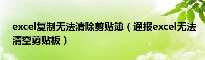 excel复制无法清除剪贴簿(通报excel无法清空剪贴板)