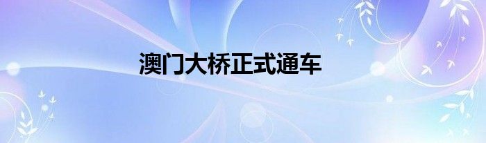 澳门大桥正式通车