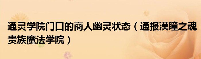 通灵学院门口的商人幽灵状态(通报漠瞳之魂贵族魔法学院)