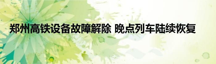 郑州高铁设备故障解除 晚点列车陆续恢复