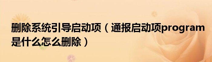 删除系统引导启动项(通报启动项program是什么怎么删除)