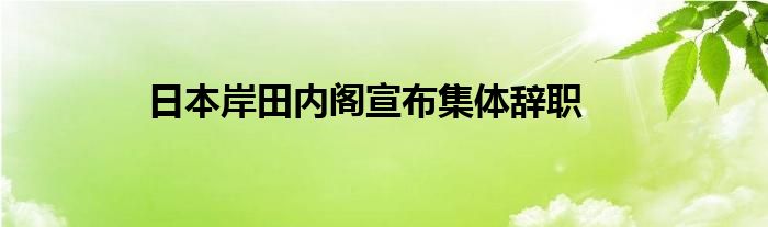 日本岸田内阁宣布集体辞职