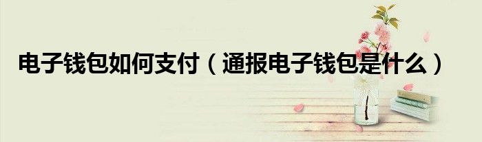 电子钱包如何支付(通报电子钱包是什么)