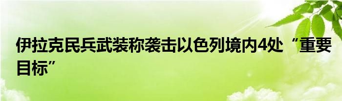 伊拉克民兵武装称袭击以色列境内4处“重要目标”